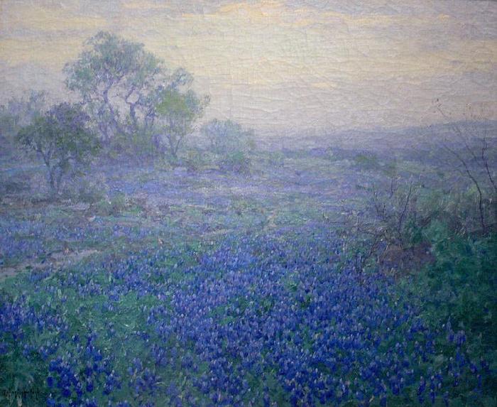 Julian Onderdonk Cloudy Day. Bluebonnets near San Antonio, Texas china oil painting image